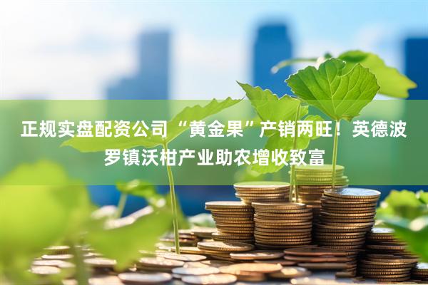 正规实盘配资公司 “黄金果”产销两旺！英德波罗镇沃柑产业助农增收致富